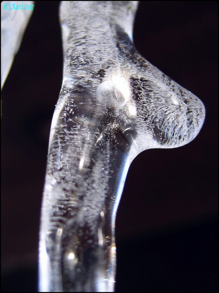 Valokuvaaja: Kari Saarinen