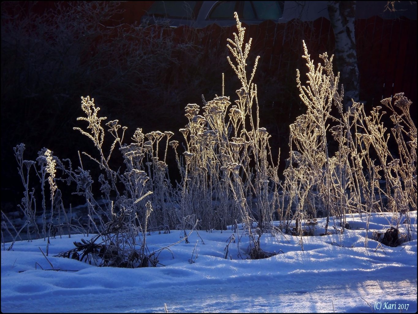 Valokuvaaja: Kari Saarinen