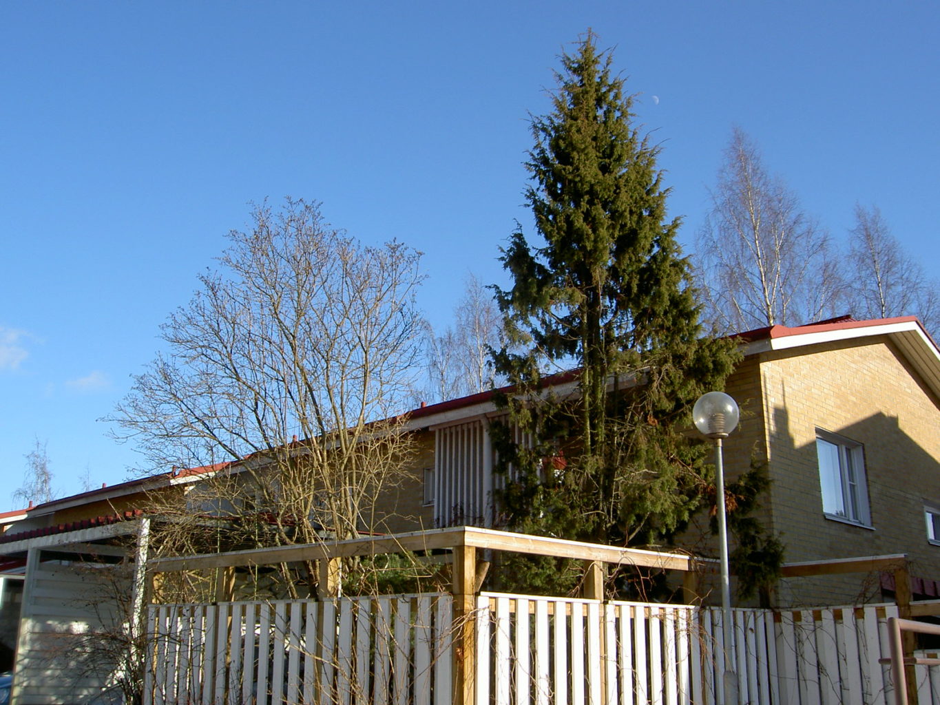 Valokuvaaja: Liisa Järvinen