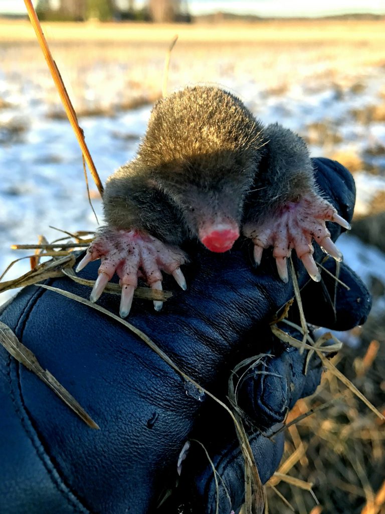 Valokuvaaja: Tuulikki Piikkilä
