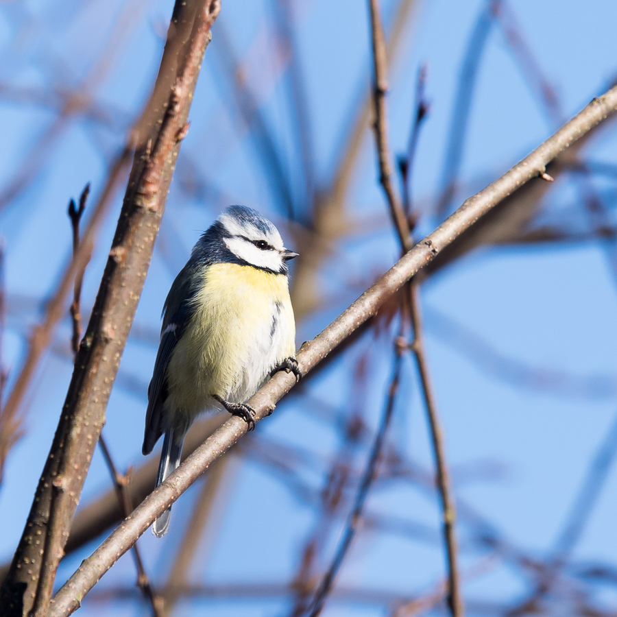 Valokuvaaja: Anne Kaihola