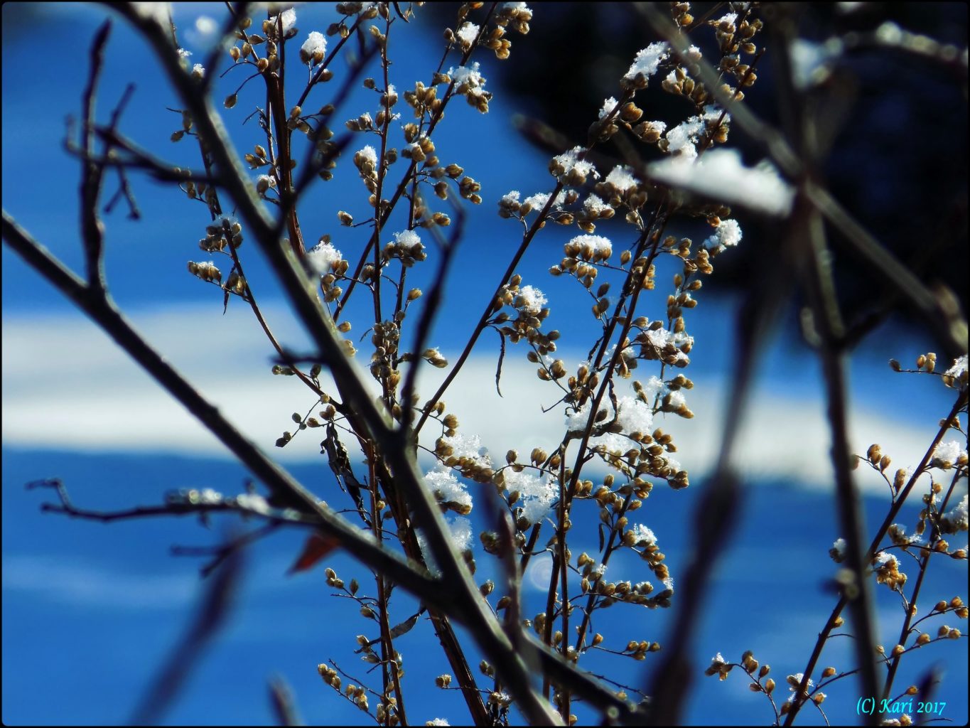 Valokuvaaja: Kari Saarinen