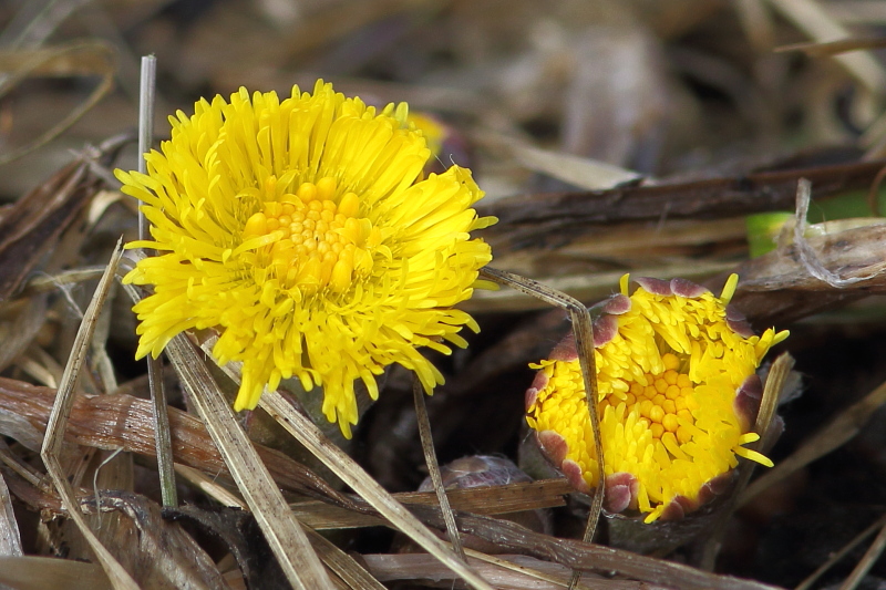 Valokuvaaja: Hanna Järvinen