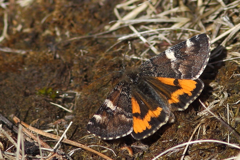 Valokuvaaja: Hanna Järvinen