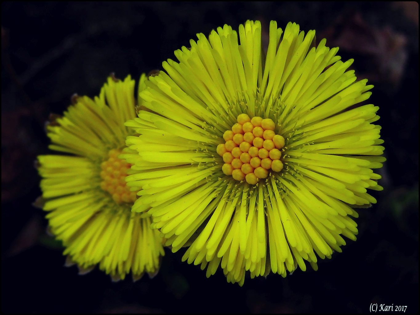 Valokuvaaja: Kari Saarinen