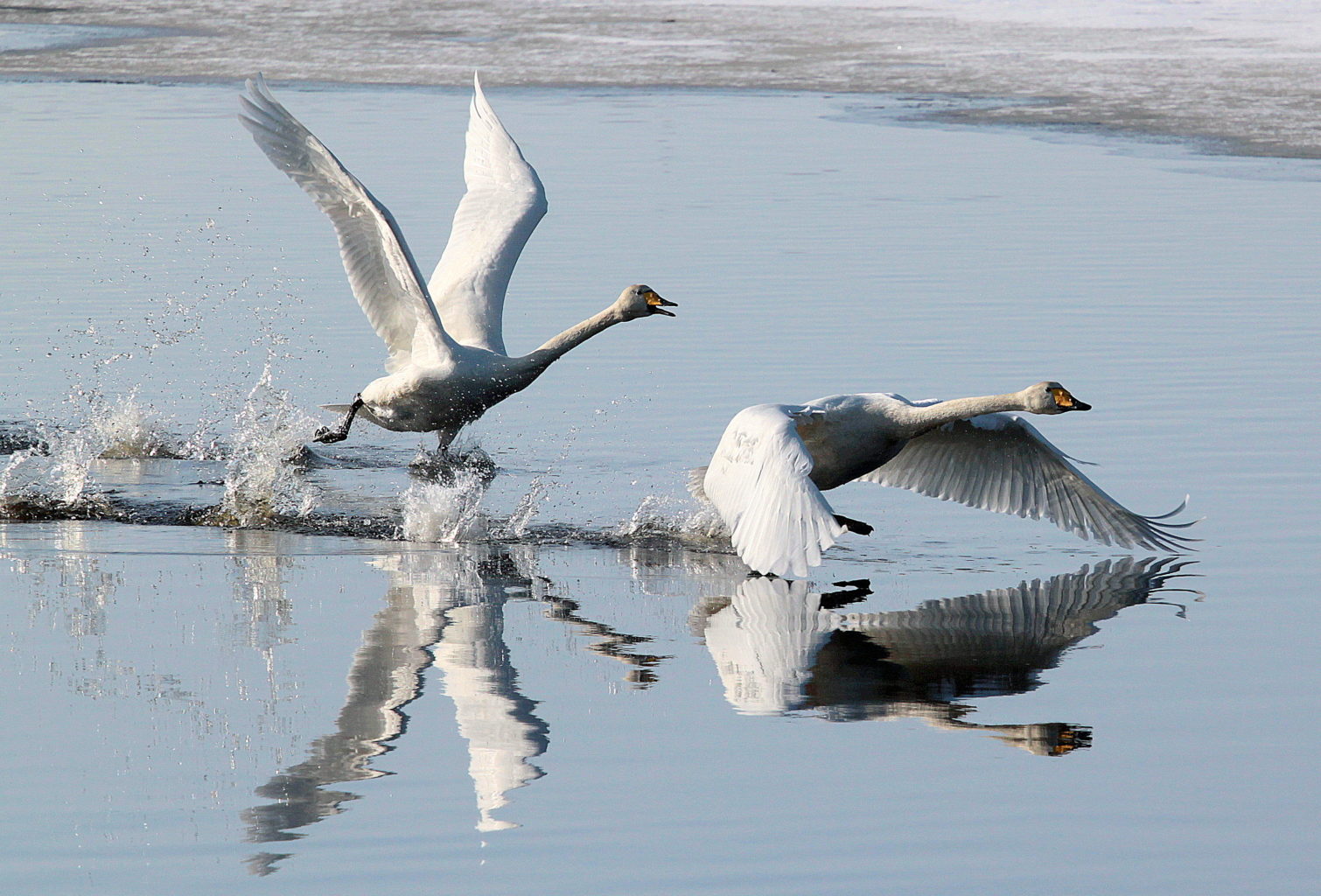 Valokuvaaja: Jukka Vaittinen