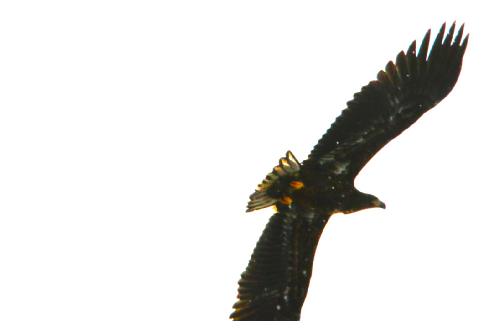 Valokuvaaja: SAMI LAUKKANEN