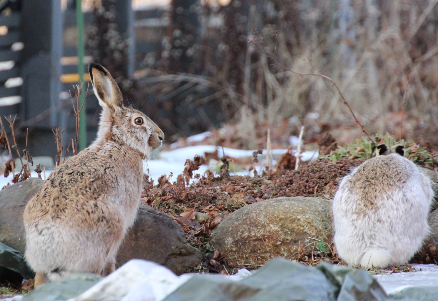 Valokuvaaja: Irja Lehtinen