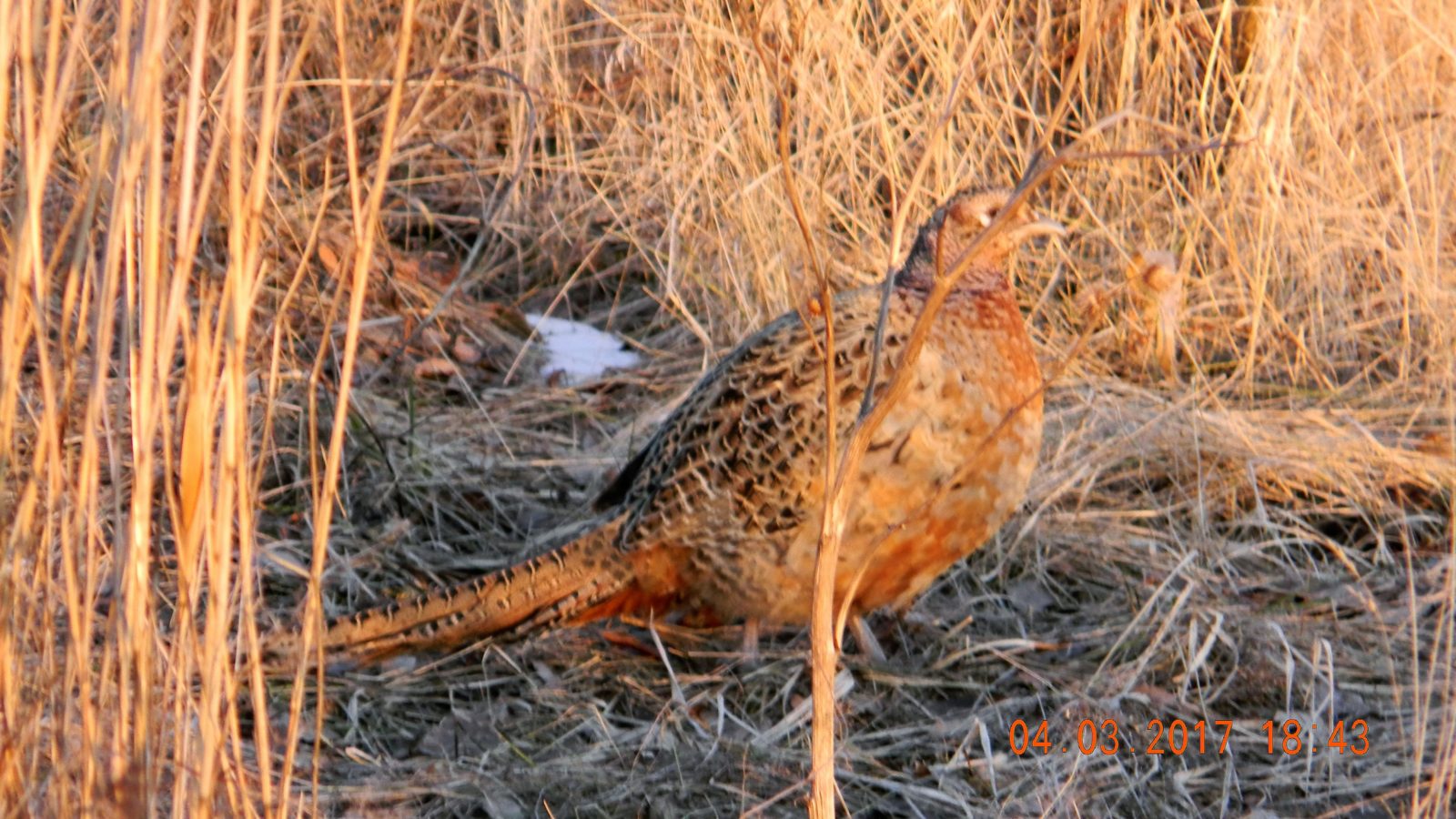 Valokuvaaja: Mirjam Finer
