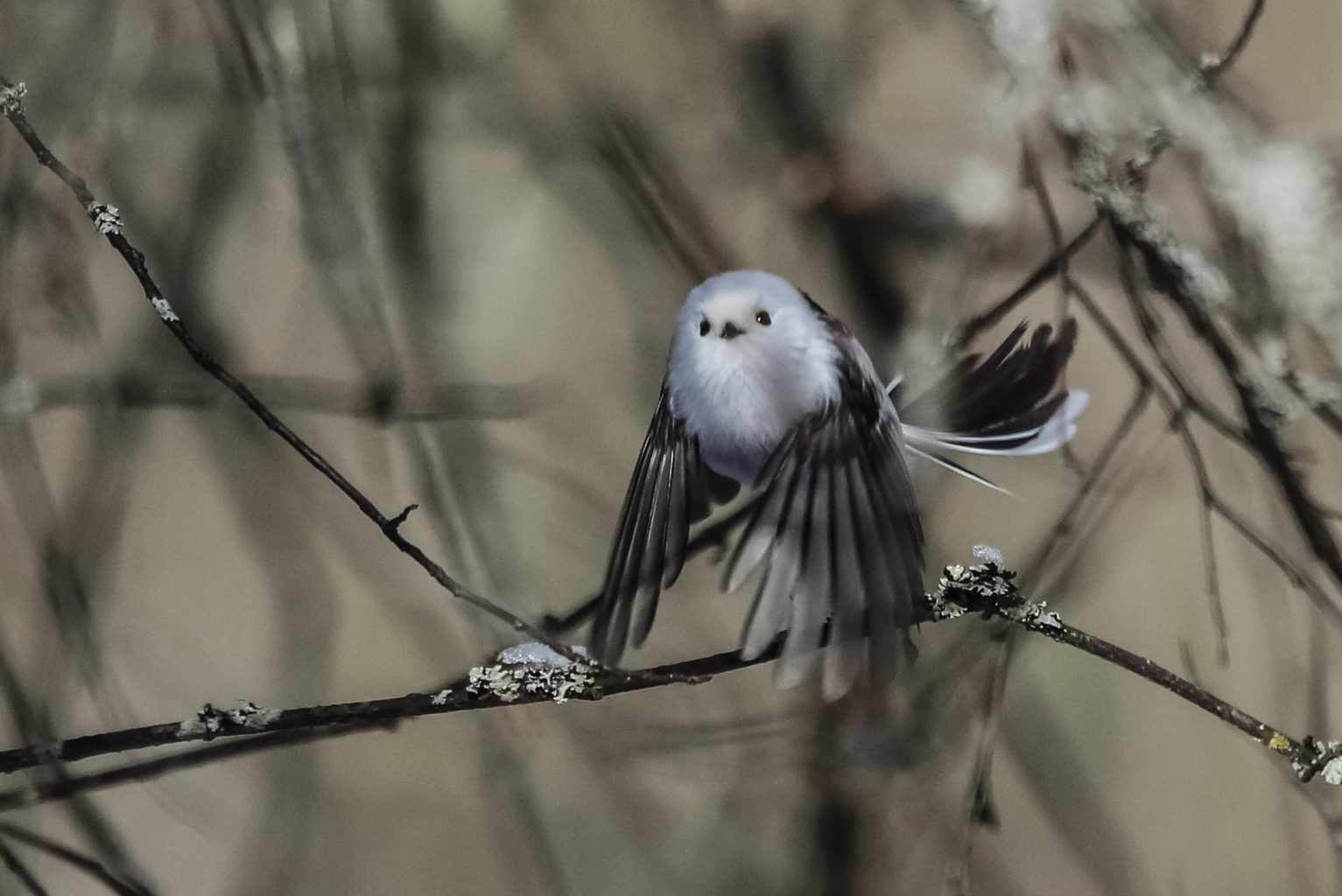 Valokuvaaja: Markku Salonen