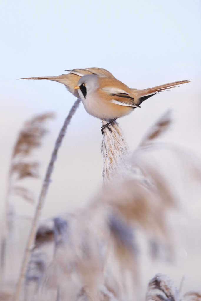 Valokuvaaja: Anne Moilanen