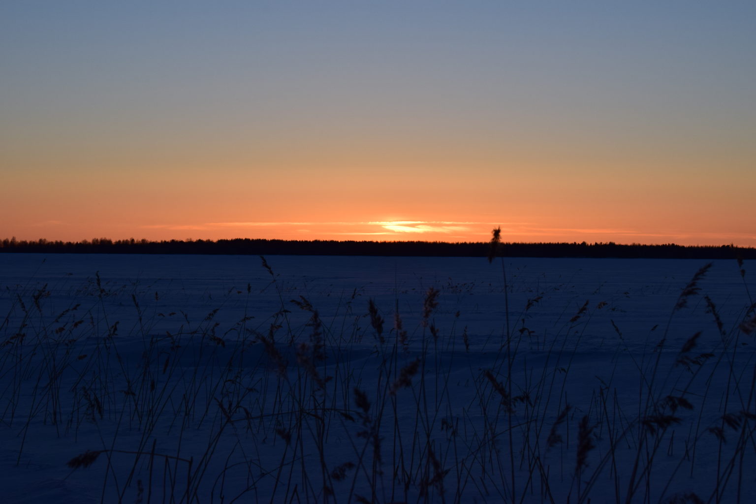 Valokuvaaja: Eila Ylönen