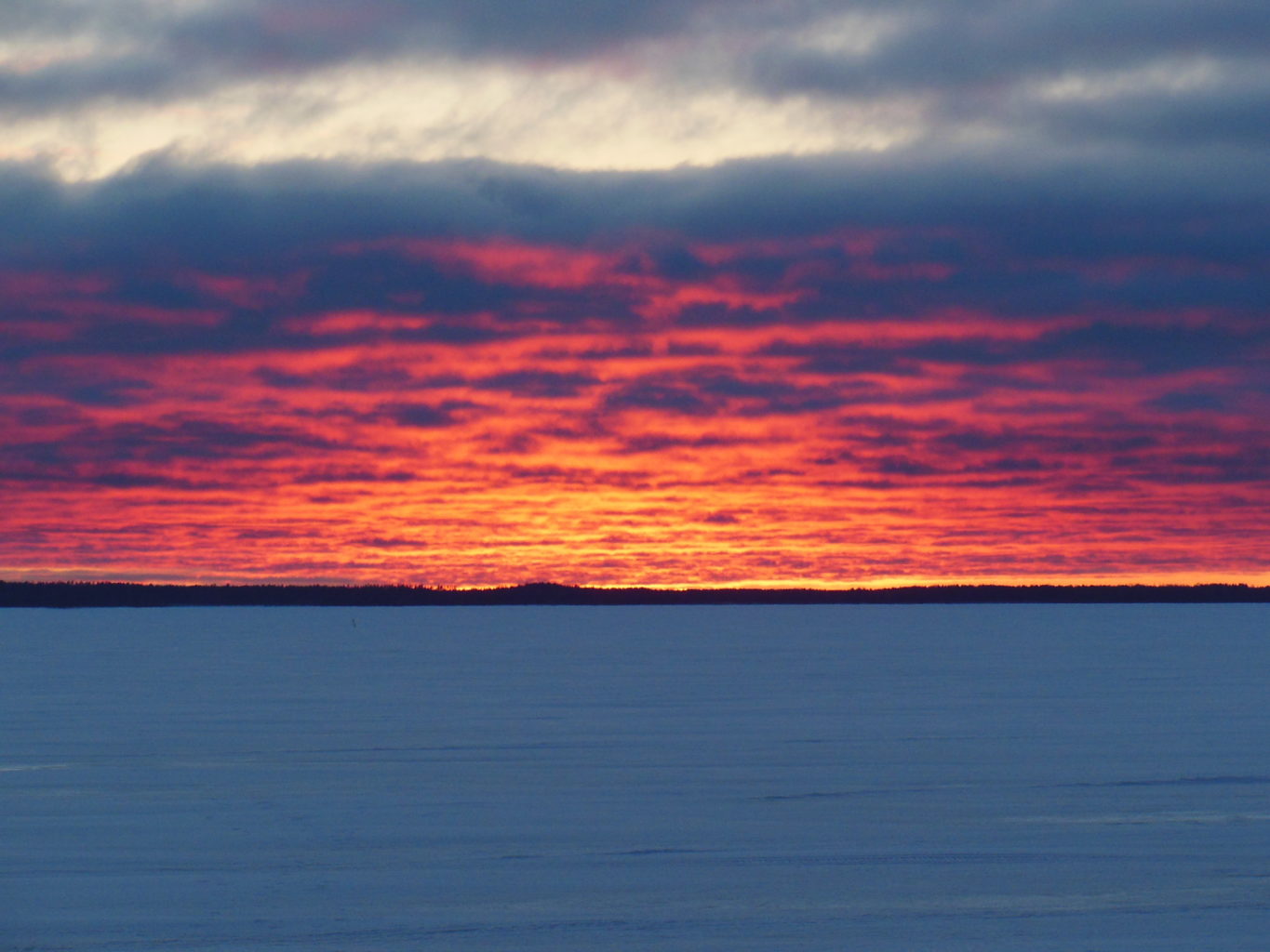Valokuvaaja: Eila Ylönen