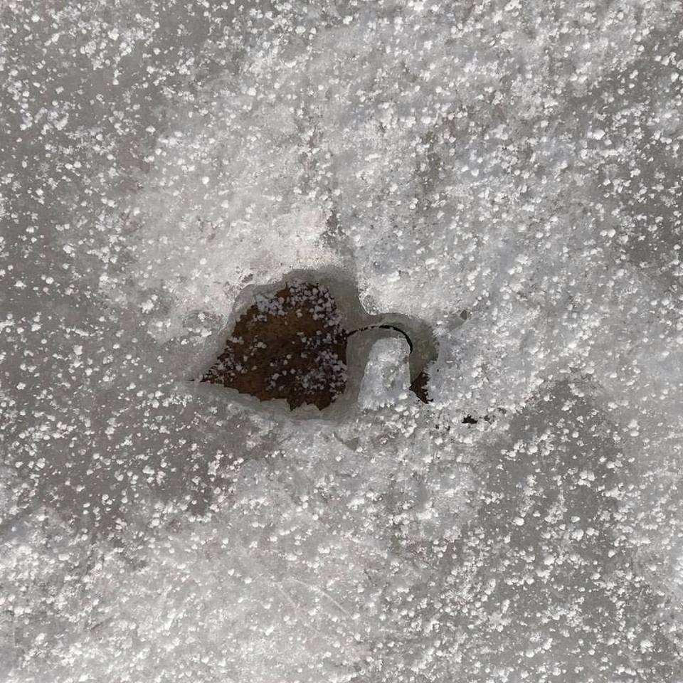 Valokuvaaja: Helena Sytelä