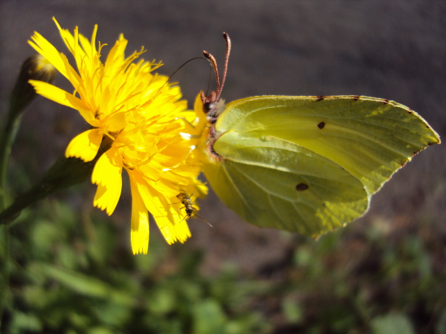 Valokuvaaja: Päivi Jaakola