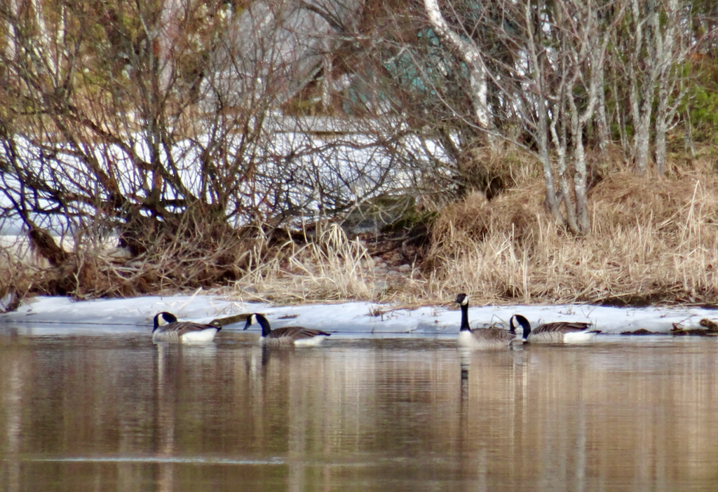 Valokuvaaja: Liisa Niiva-Korpela