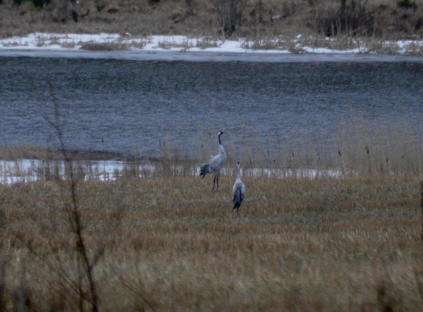 Valokuvaaja: Jenni Merilä