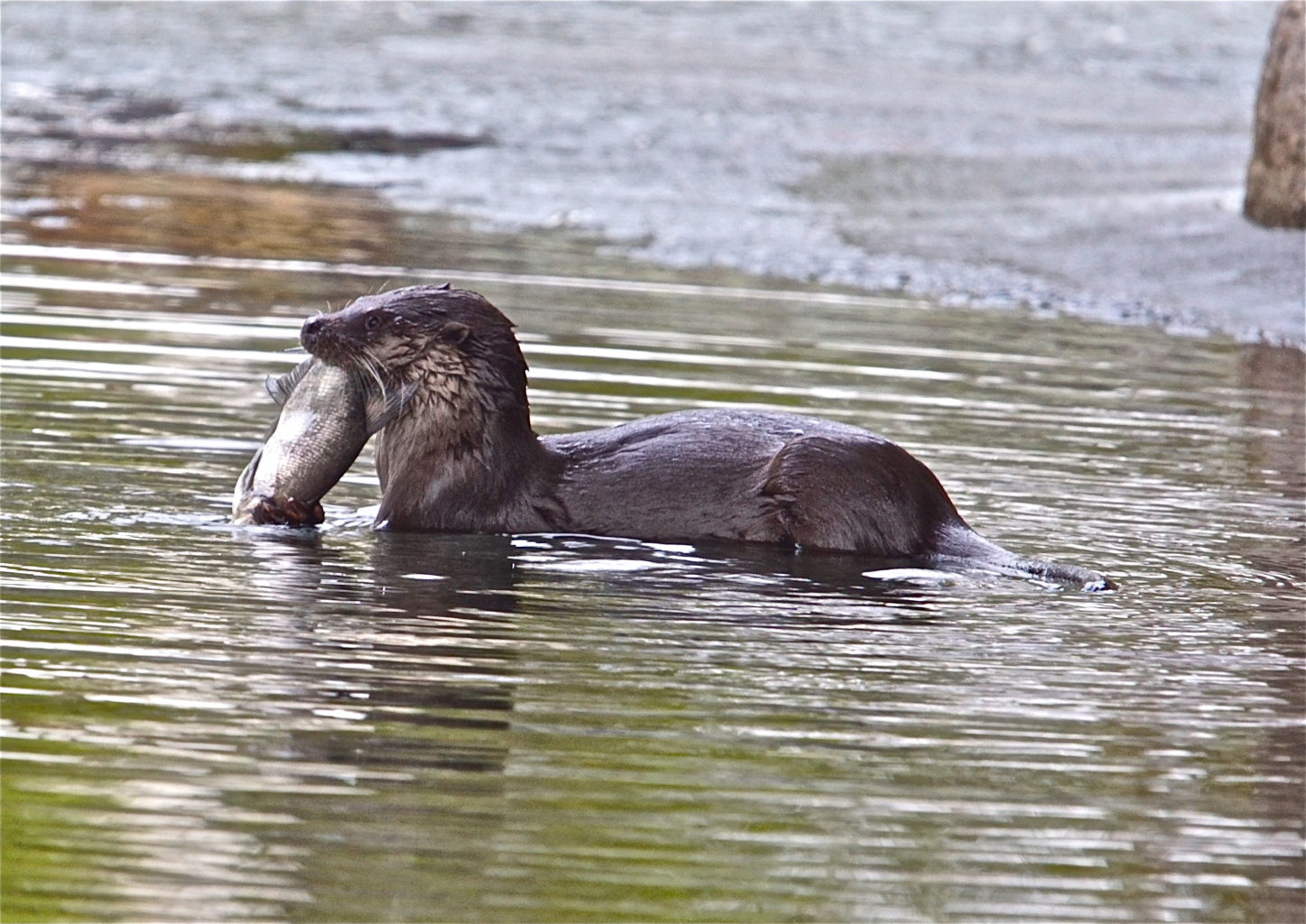 Valokuvaaja: Markku Rant-Eilola
