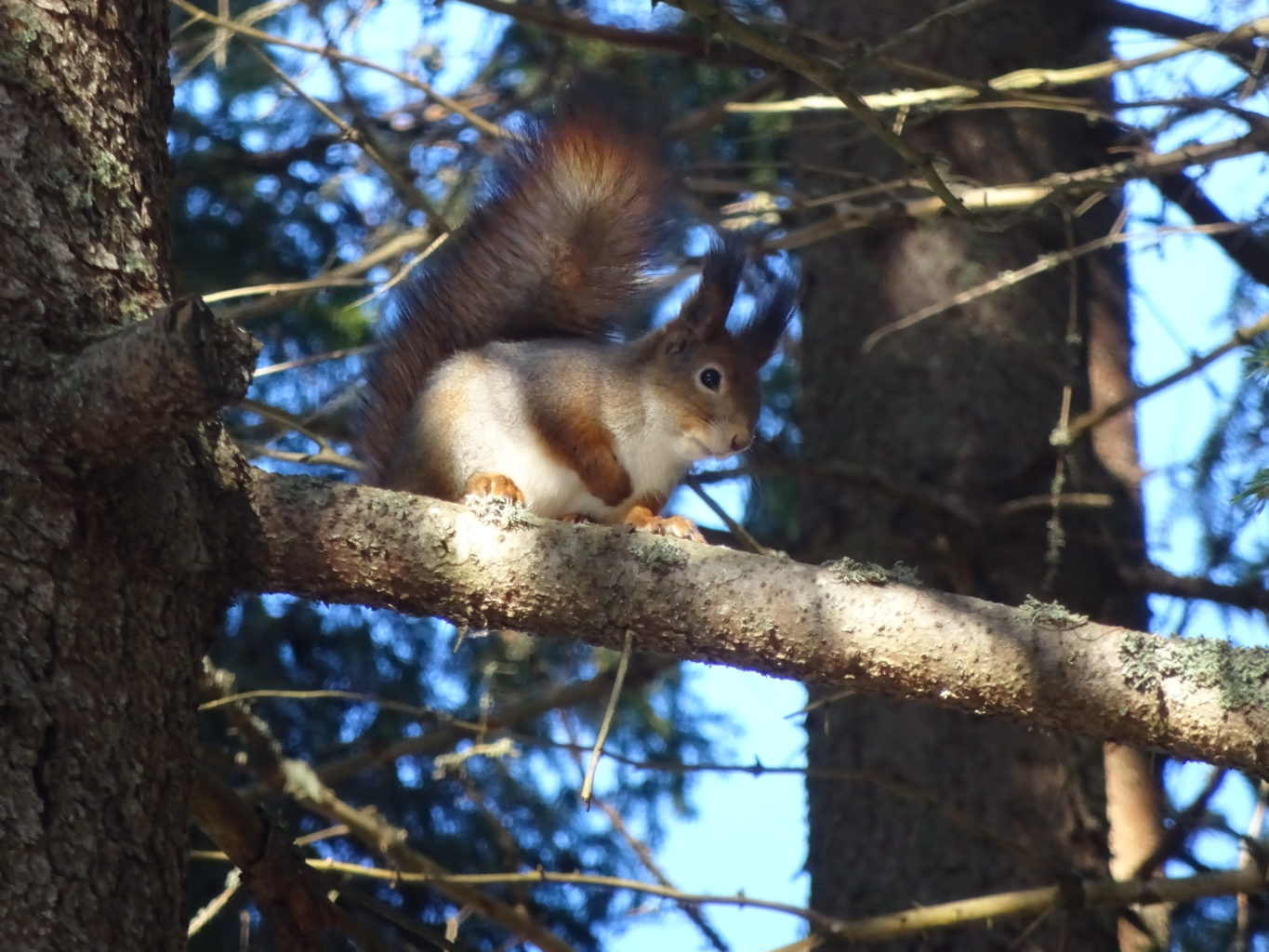 Valokuvaaja: Anja Mustamaa