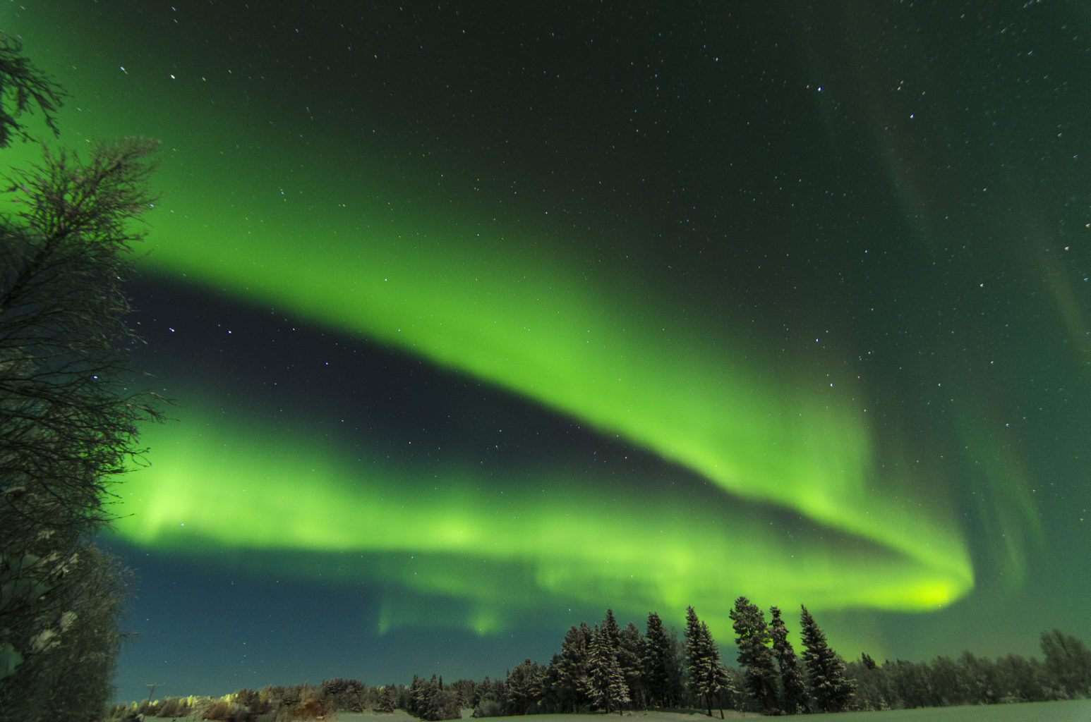 Valokuvaaja: Irene Erkkilä