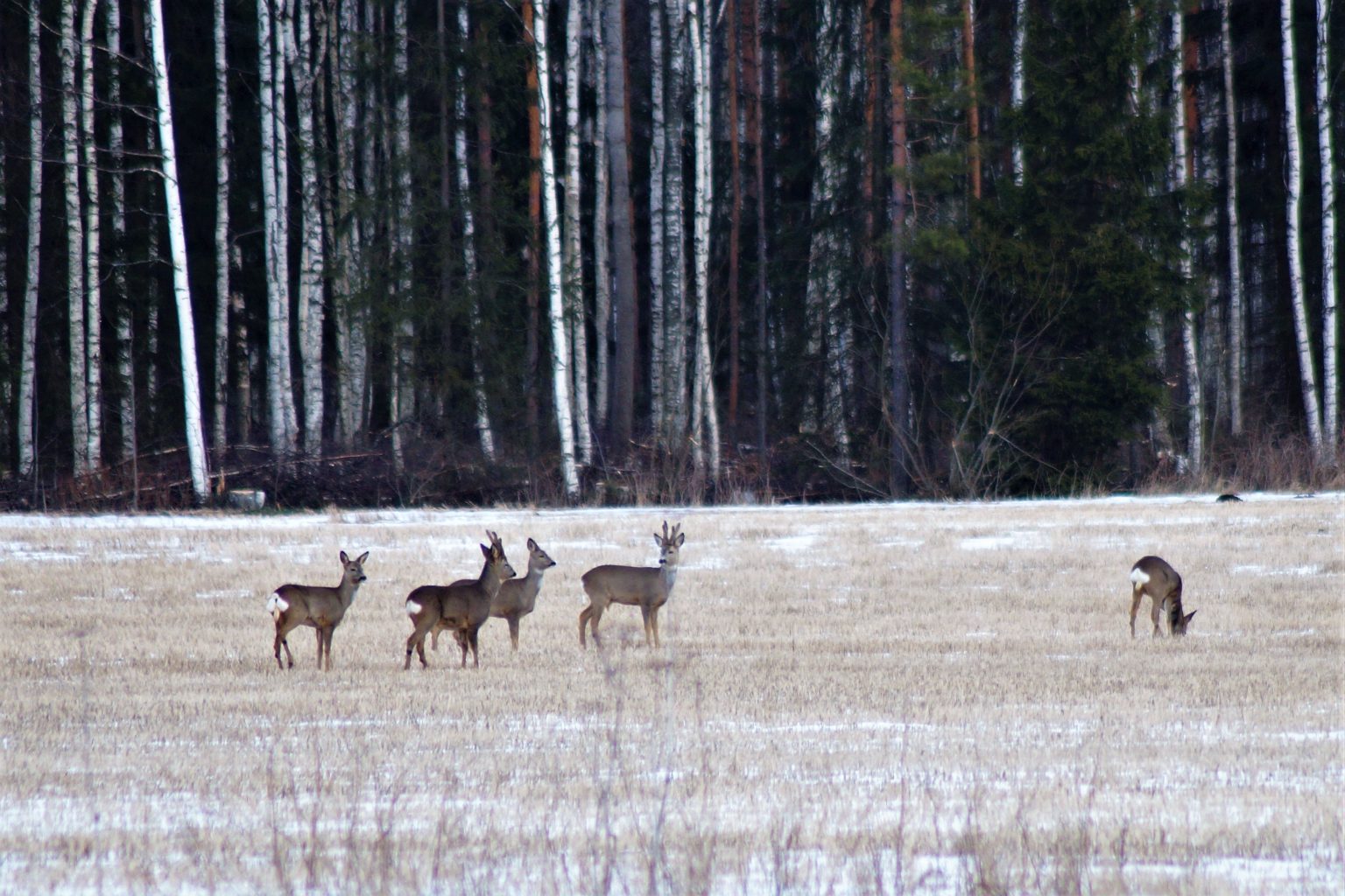 Valokuvaaja: Maarit Siitonen
