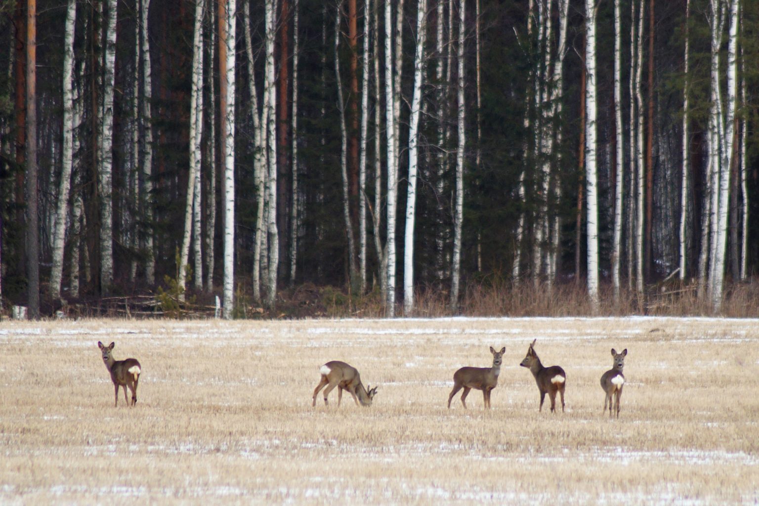 Valokuvaaja: Maarit Siitonen