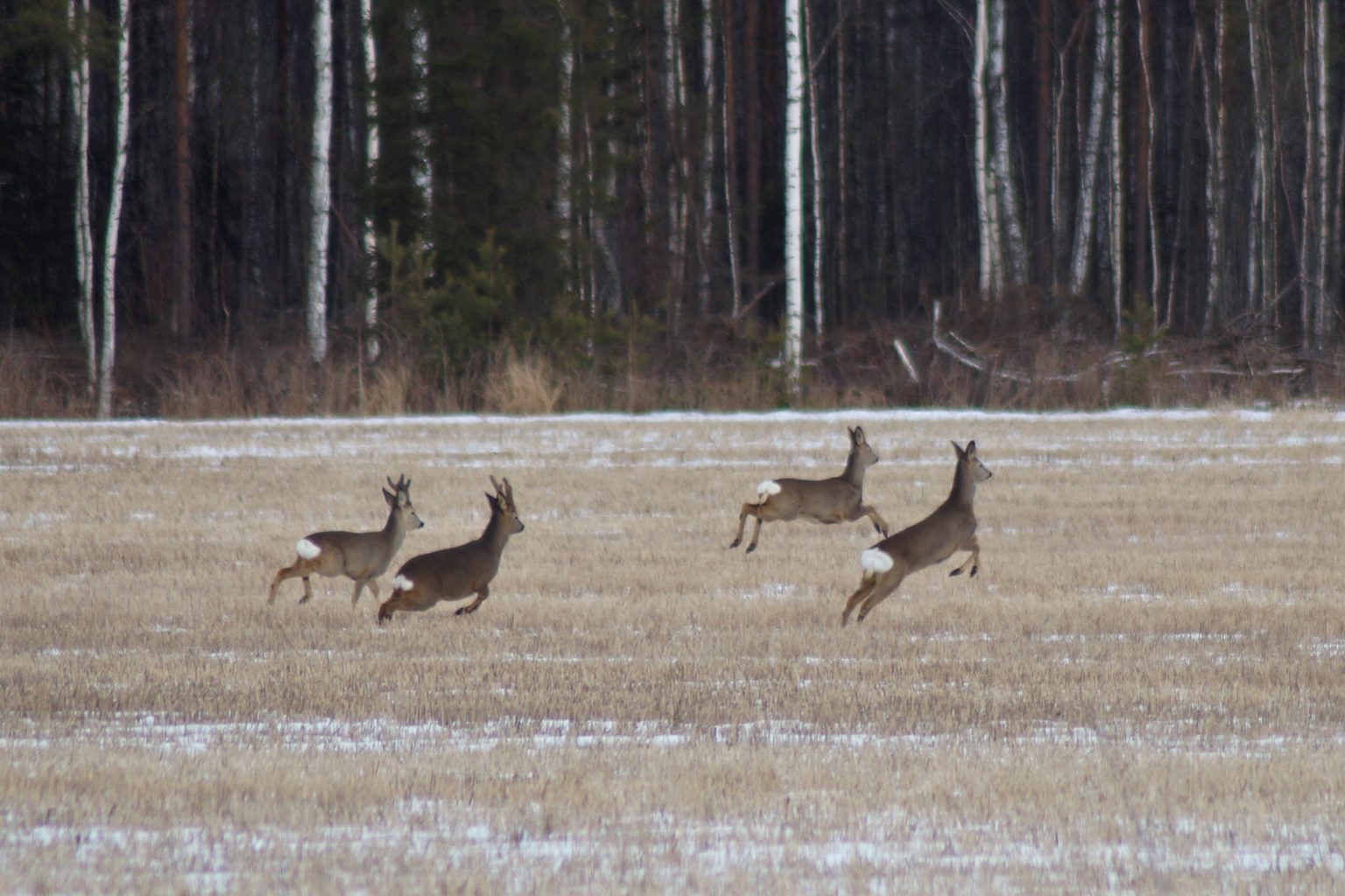 Valokuvaaja: Maarit Siitonen