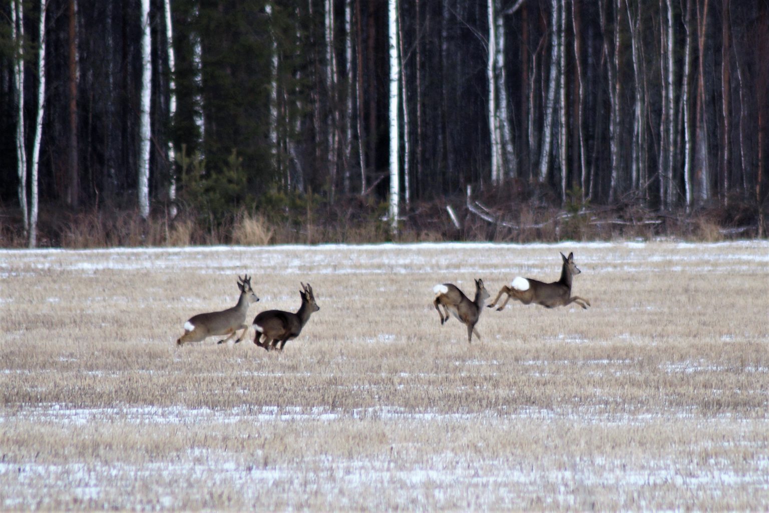 Valokuvaaja: Maarit Siitonen