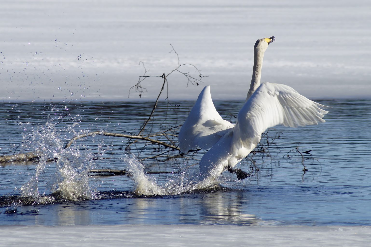 Valokuvaaja: Maarit Siitonen