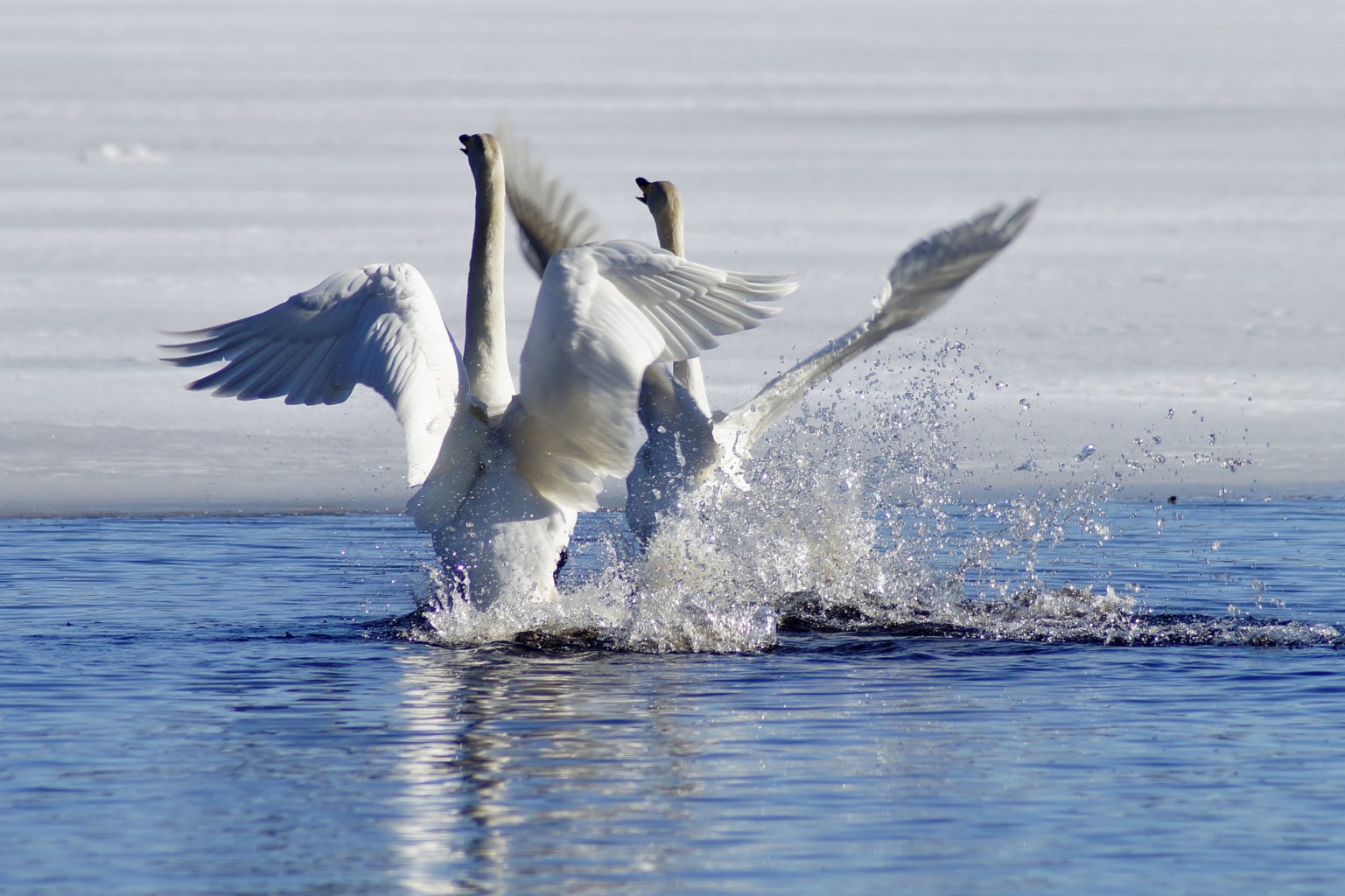 Valokuvaaja: Maarit Siitonen