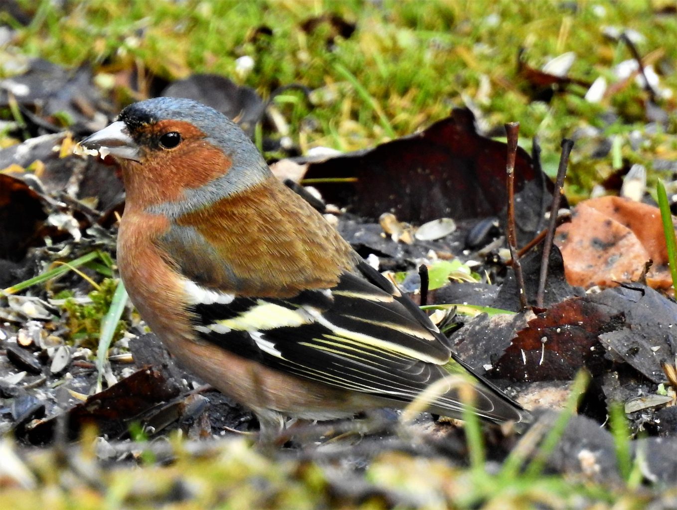 Valokuvaaja: Kari Pirttilä