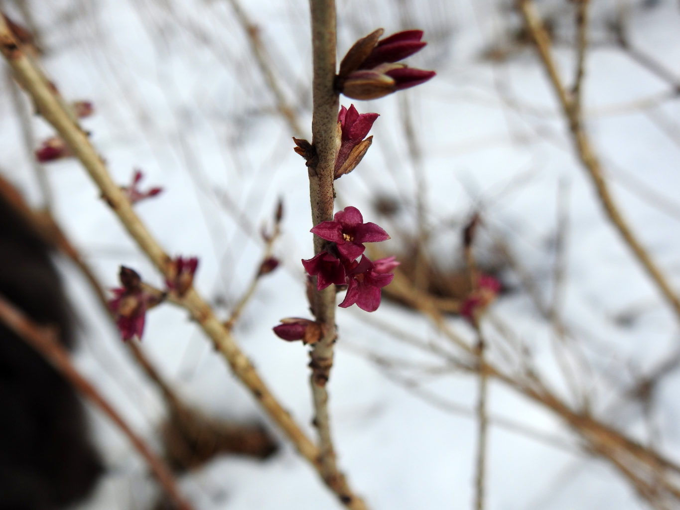 Valokuvaaja: Paavo Siukonen