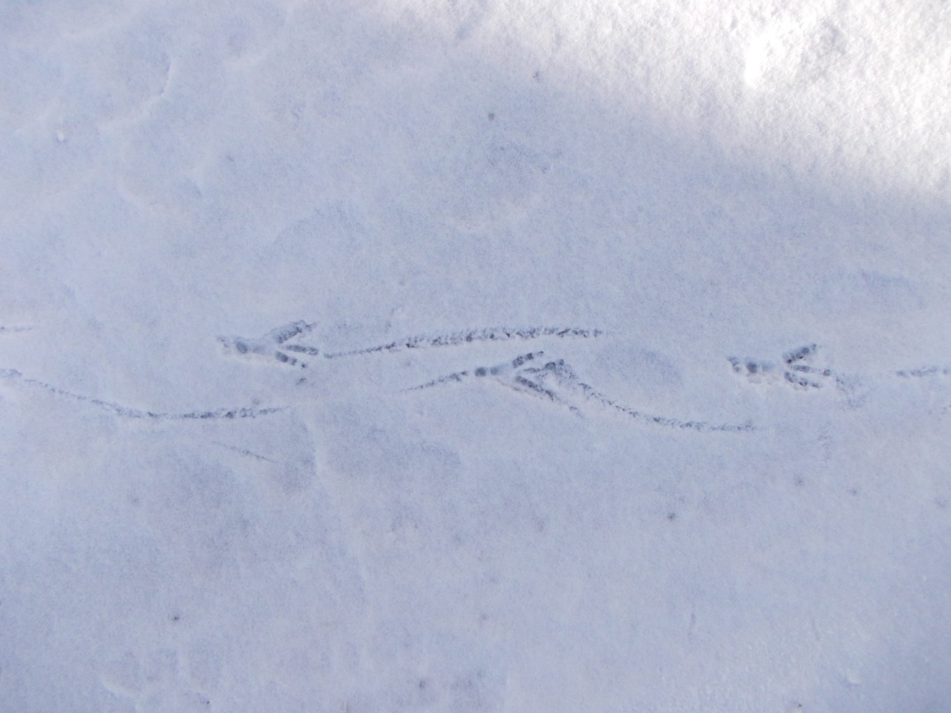 Valokuvaaja: Katja Ketola