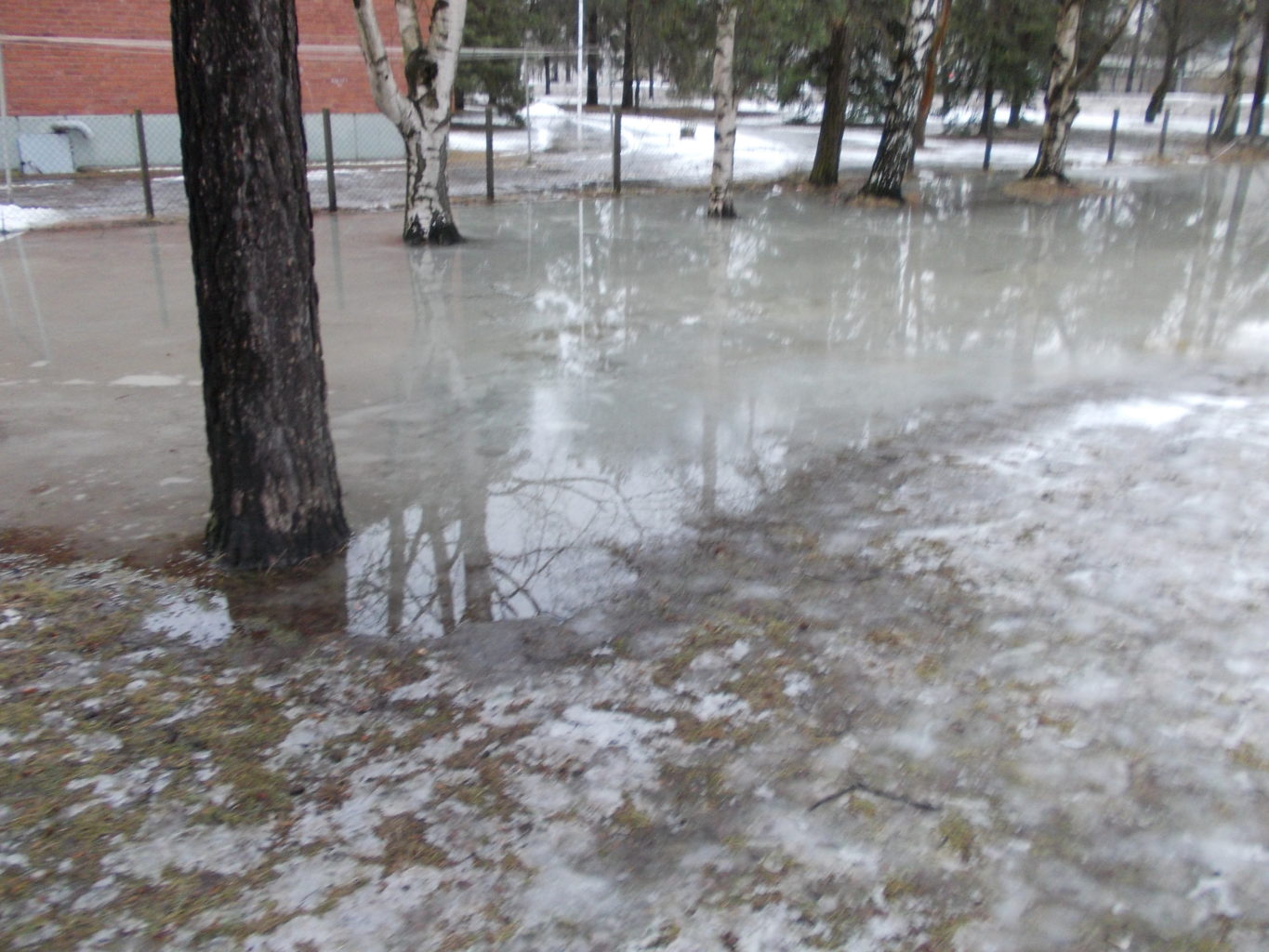 Valokuvaaja: Katja Ketola