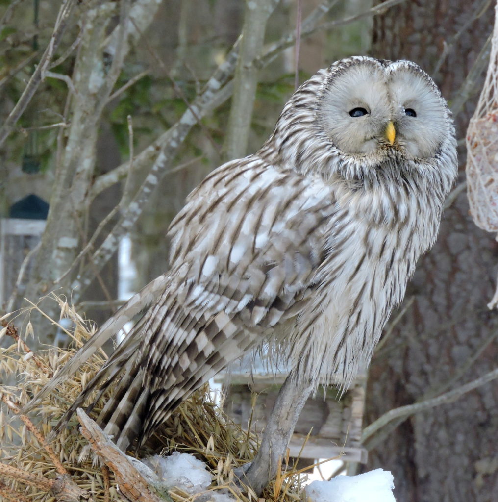 Valokuvaaja: Annikki Kärkkäinen