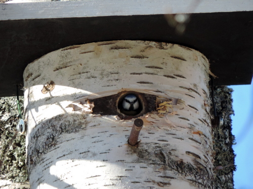 Valokuvaaja: Helena Sytelä