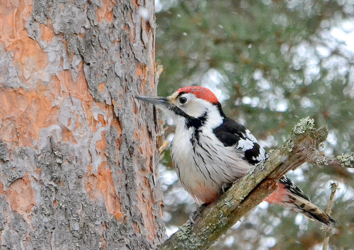 Valokuvaaja: Leena Silvola