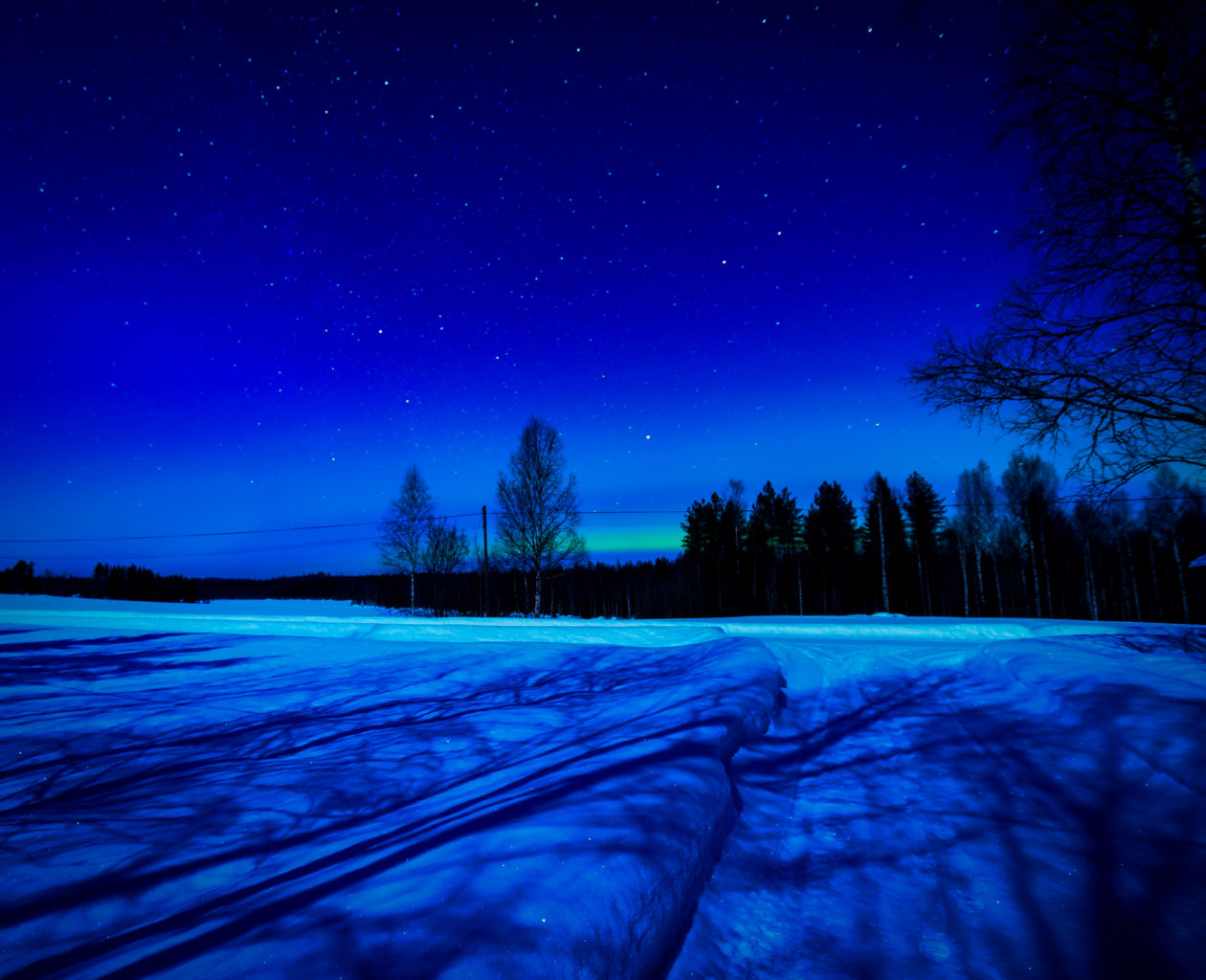 Valokuvaaja: MAIJA SAVOLAINEN