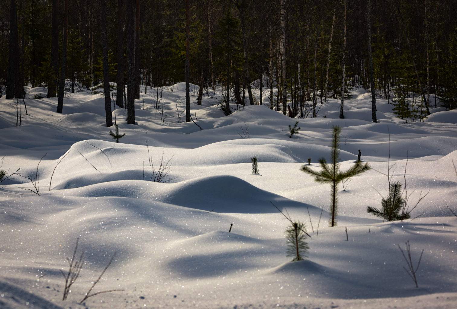 Valokuvaaja: MAIJA SAVOLAINEN