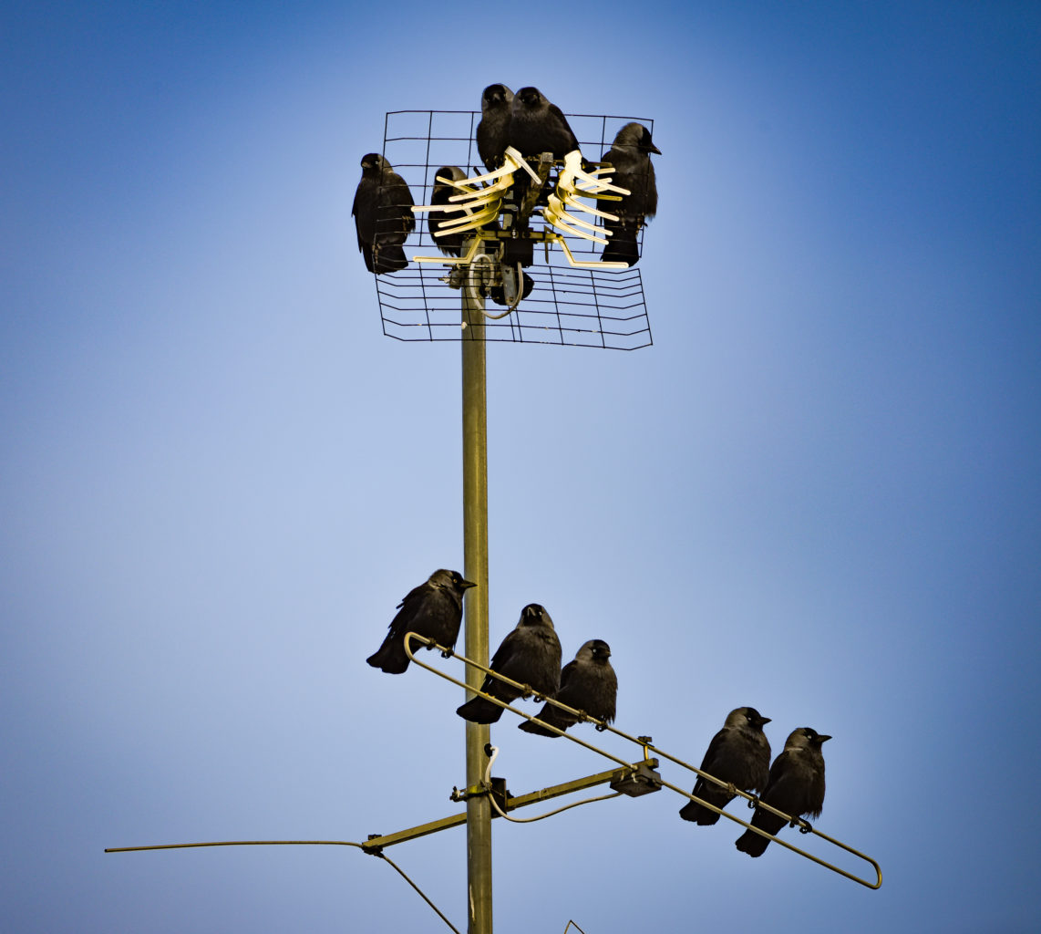 Valokuvaaja: MAIJA SAVOLAINEN