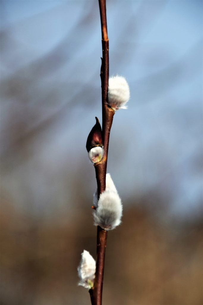 Valokuvaaja: Ulla Räsänen