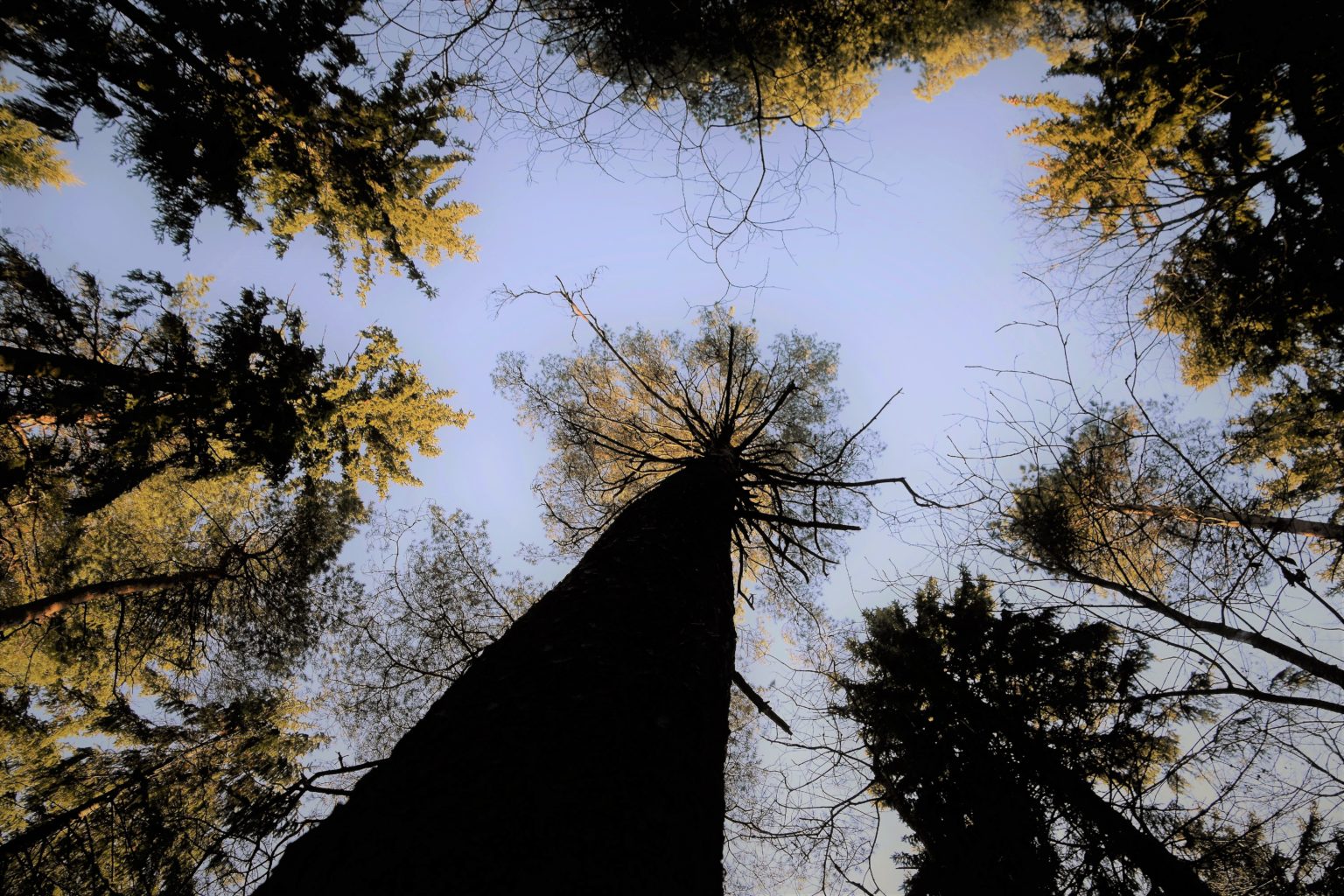 Valokuvaaja: Ulla Räsänen