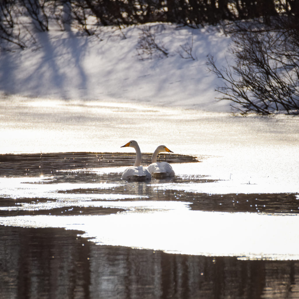 Valokuvaaja: MAIJA SAVOLAINEN