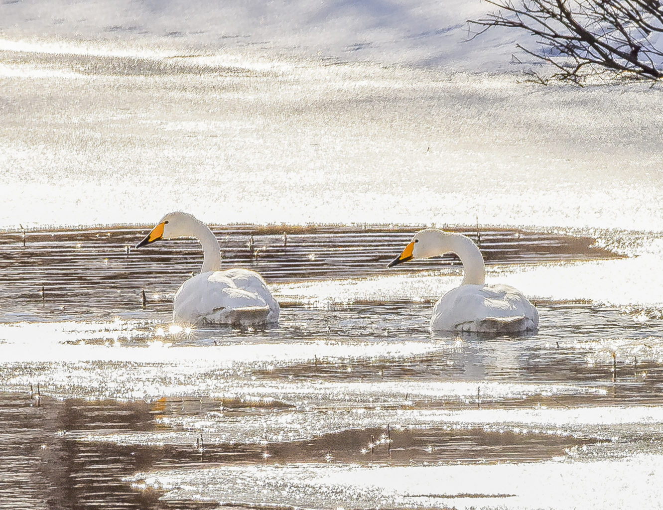 Valokuvaaja: Maija Savolainen