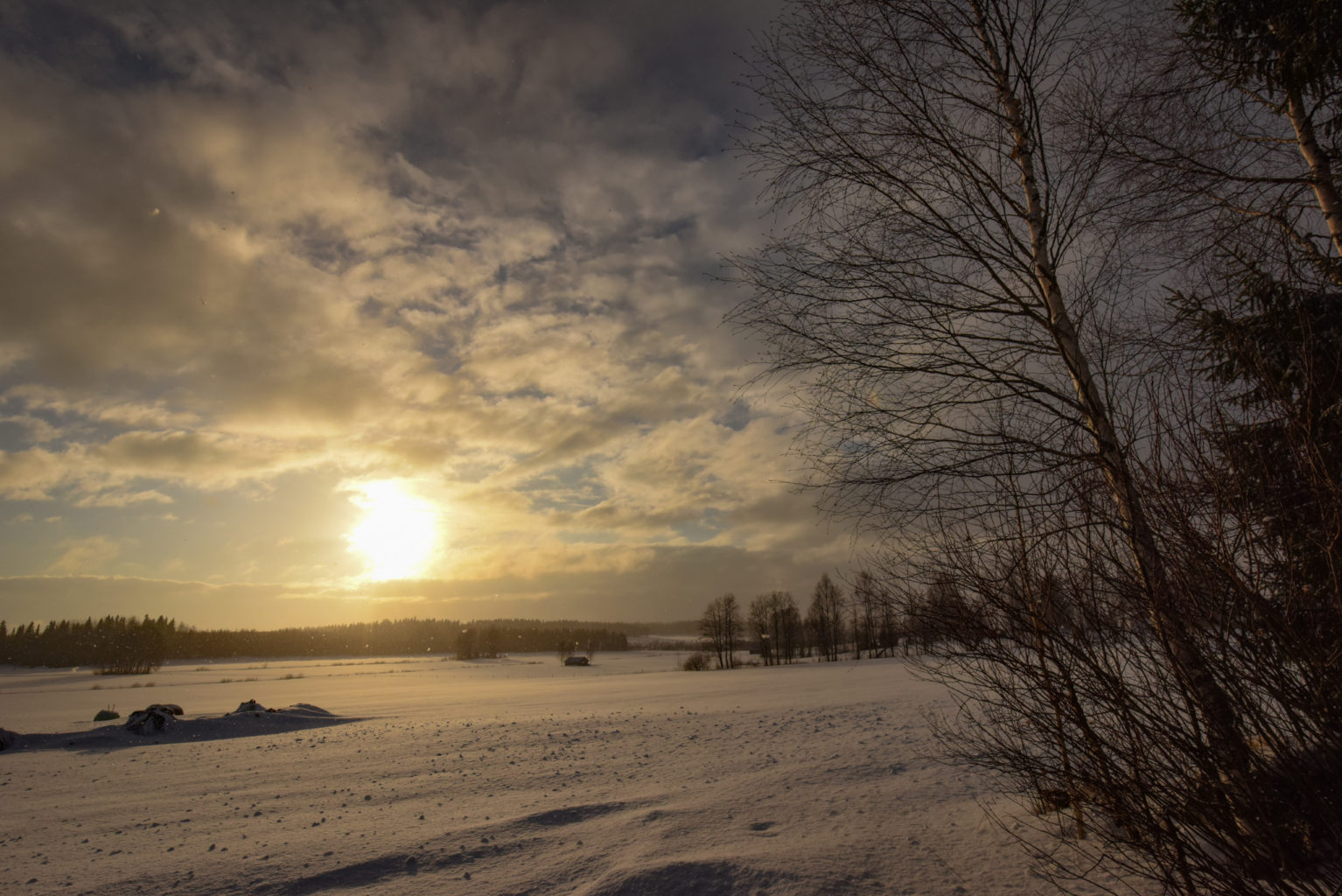 Valokuvaaja: MAIJA SAVOLAINEN