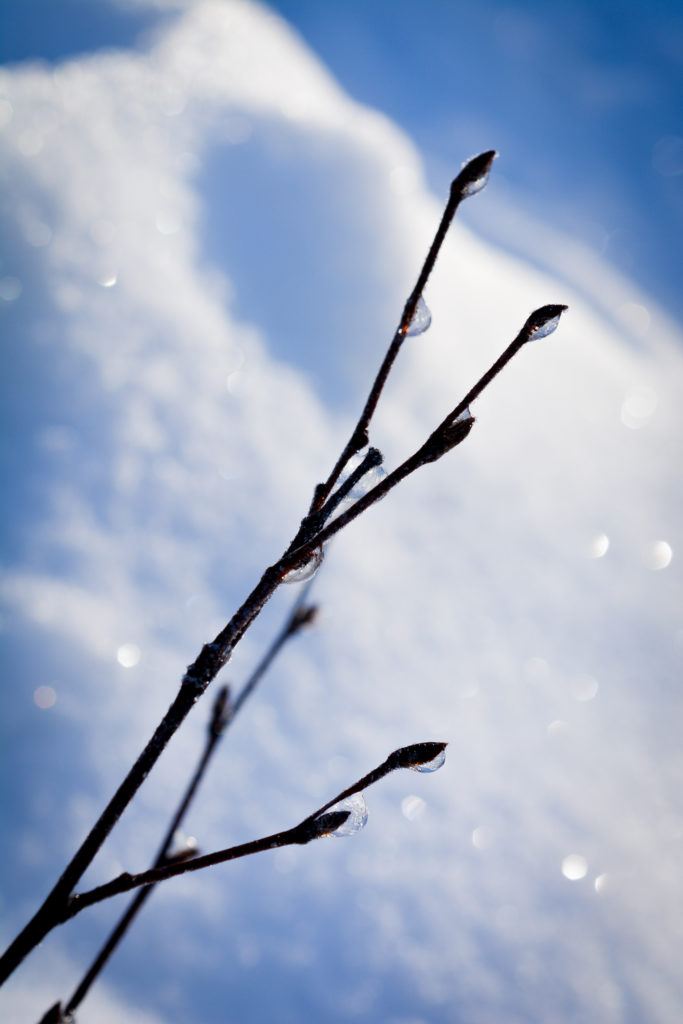 Valokuvaaja: MAIJA SAVOLAINEN