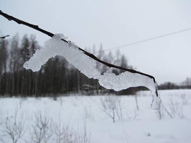 Valokuvaaja: Tuula Makkonen