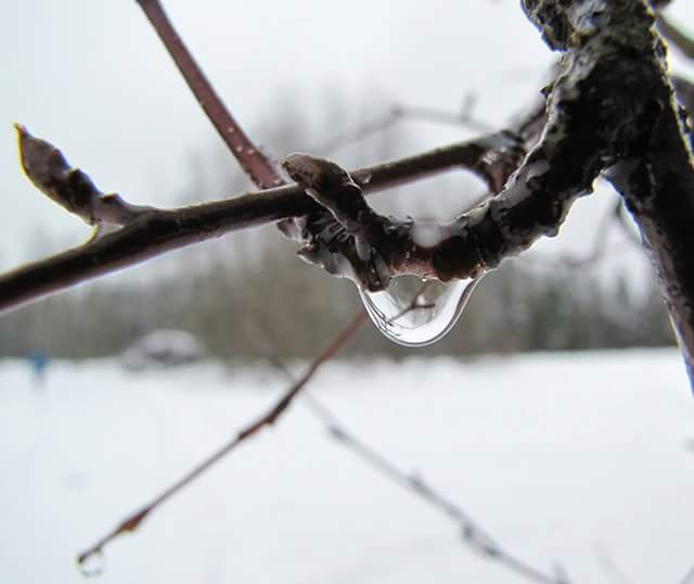 Valokuvaaja: Tuula Makkonen