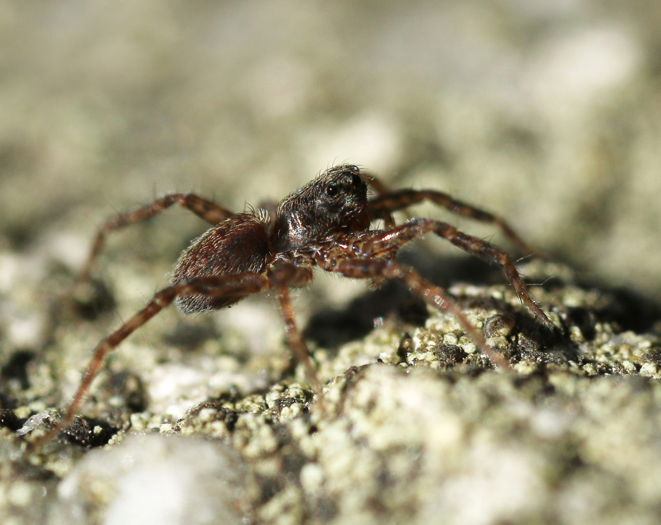 Valokuvaaja: Tarja Porkkala