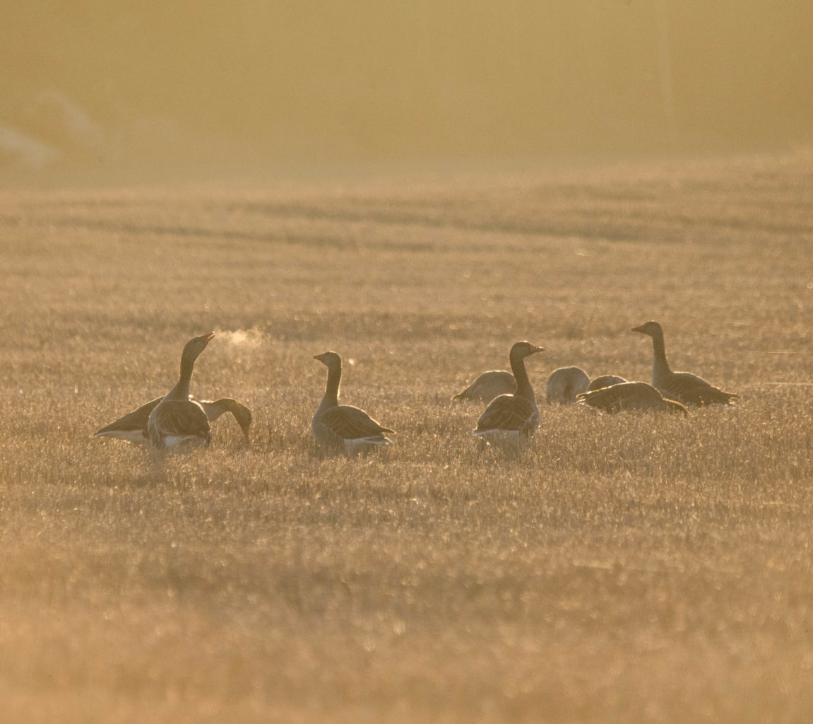 Valokuvaaja: Jyrki Lähde